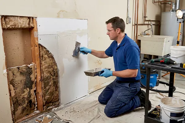 Mold and Drywall Repair Issaquah