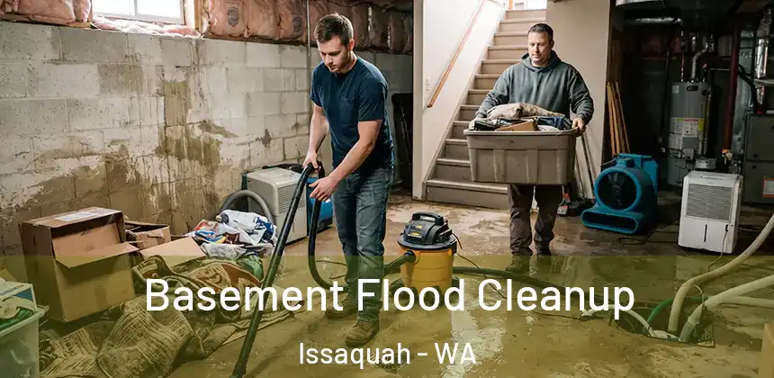  Basement Flood Cleanup Issaquah - WA