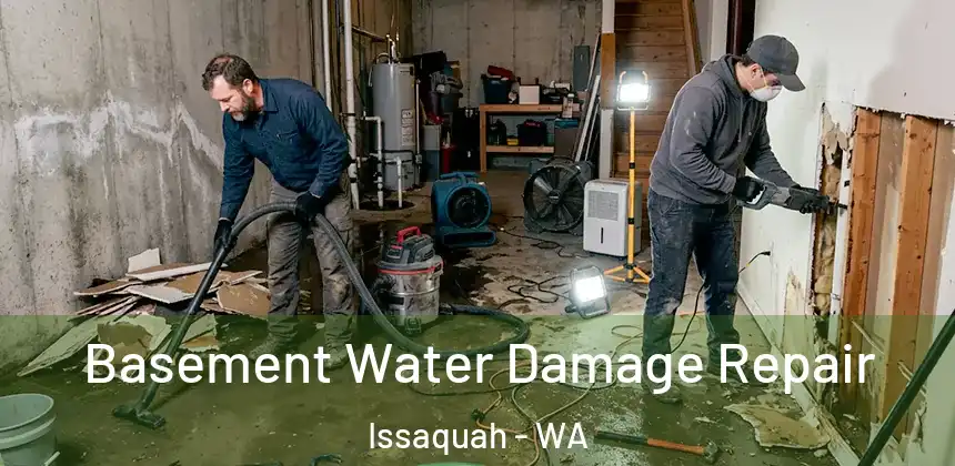  Basement Water Damage Repair Issaquah - WA