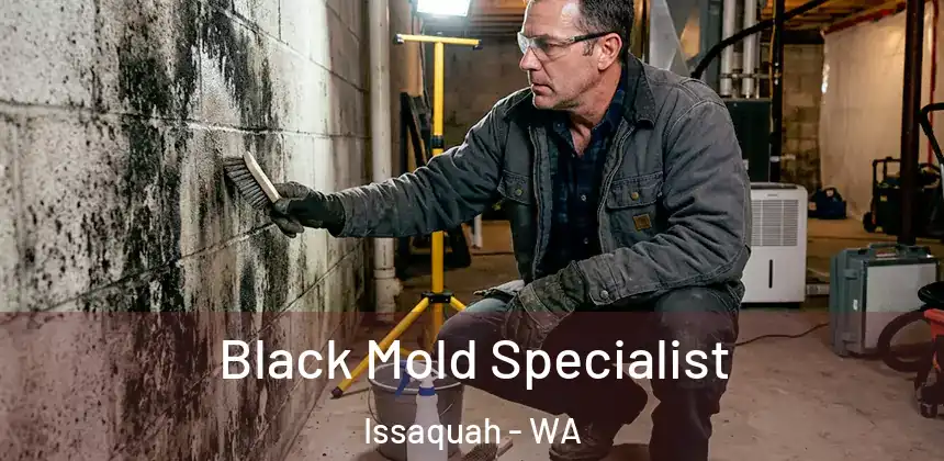  Black Mold Specialist Issaquah - WA