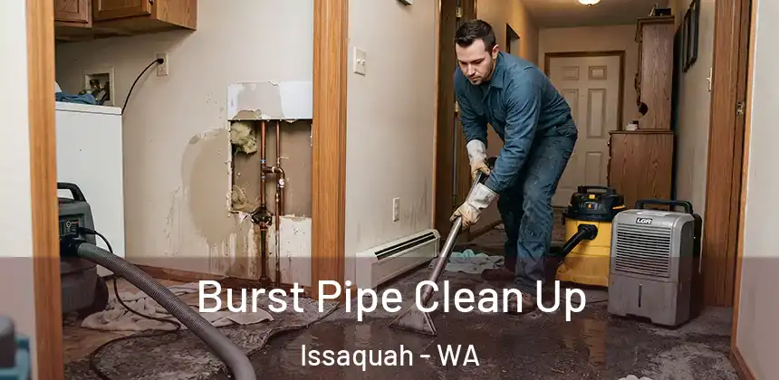 Burst Pipe Clean Up Issaquah - WA