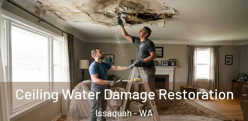 Ceiling Water Damage Restoration Issaquah - WA