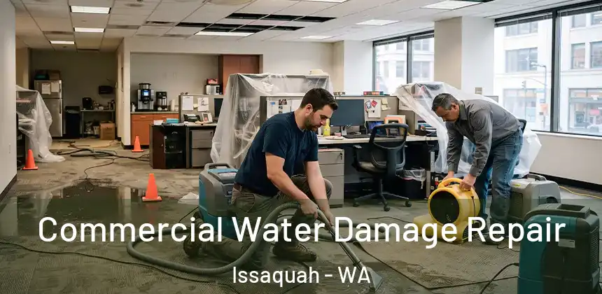  Commercial Water Damage Repair Issaquah - WA