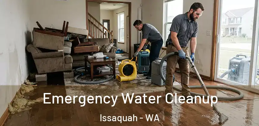  Emergency Water Cleanup Issaquah - WA