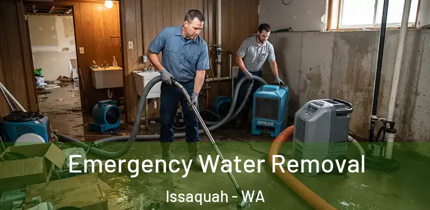 Emergency Water Removal Issaquah - WA