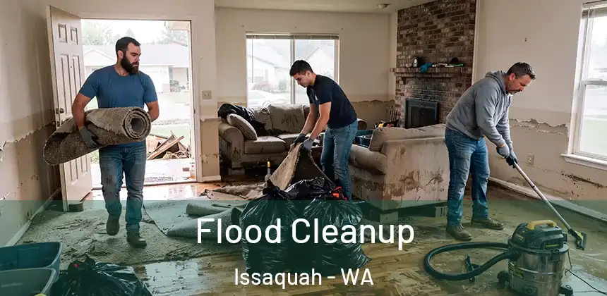  Flood Cleanup Issaquah - WA