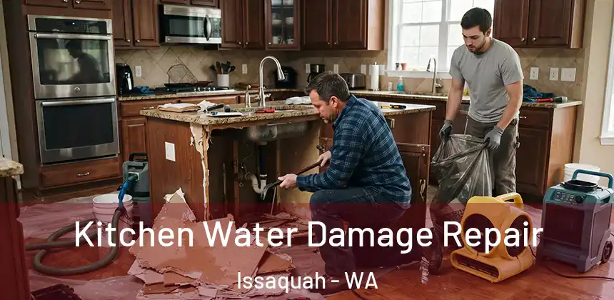  Kitchen Water Damage Repair Issaquah - WA