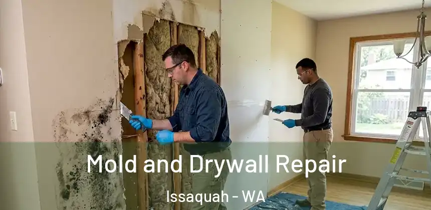  Mold and Drywall Repair Issaquah - WA