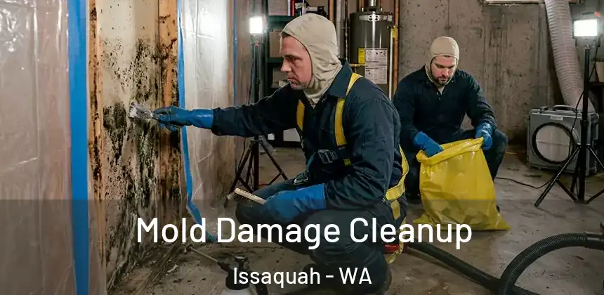  Mold Damage Cleanup Issaquah - WA