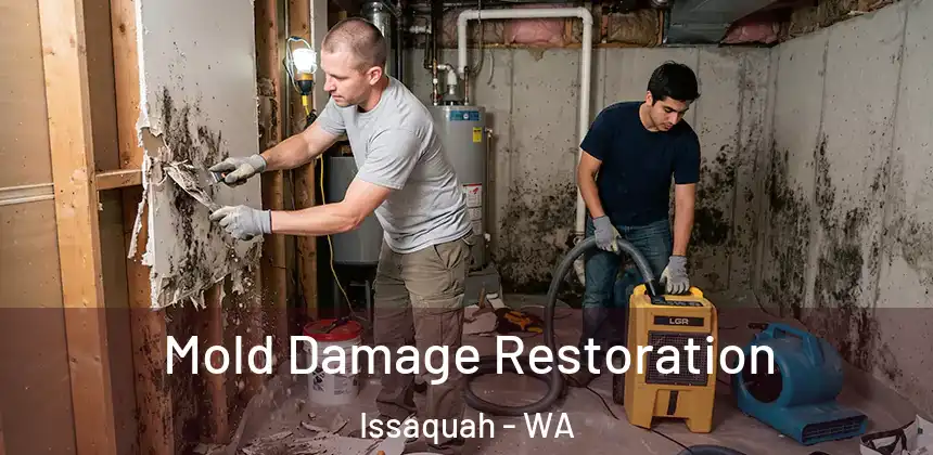 Mold Damage Restoration Issaquah - WA