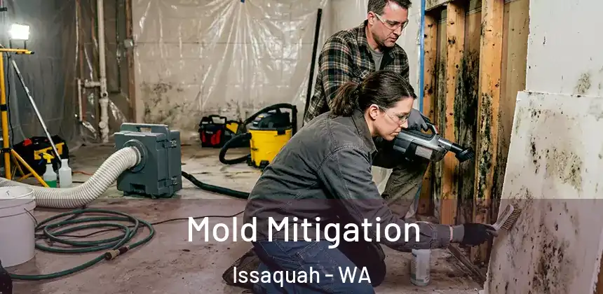  Mold Mitigation Issaquah - WA
