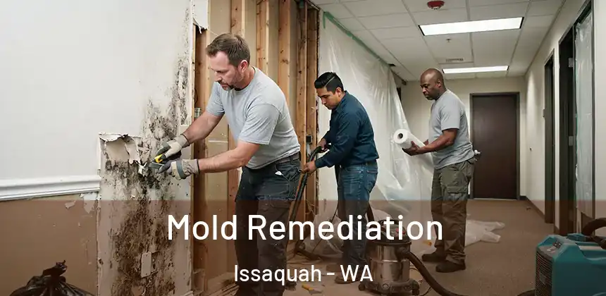 Mold Remediation Issaquah - WA