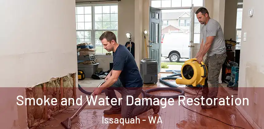 Smoke and Water Damage Restoration Issaquah - WA