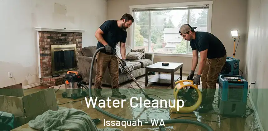 Water Cleanup Issaquah - WA