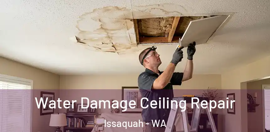  Water Damage Ceiling Repair Issaquah - WA
