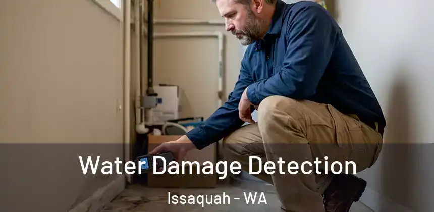  Water Damage Detection Issaquah - WA