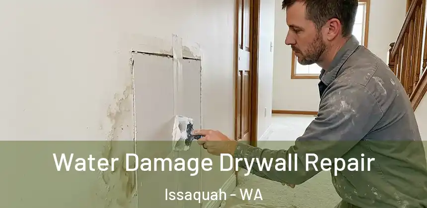  Water Damage Drywall Repair Issaquah - WA
