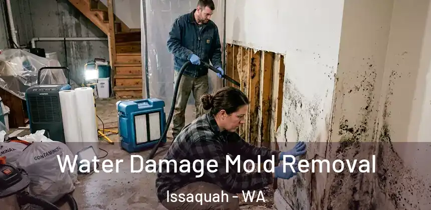  Water Damage Mold Removal Issaquah - WA