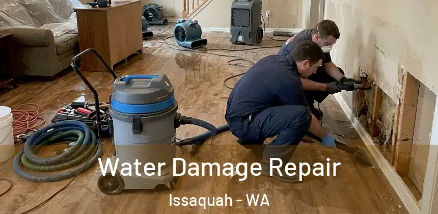  Water Damage Repair Issaquah - WA