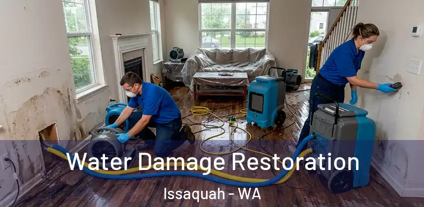 Water Damage Restoration Issaquah - WA