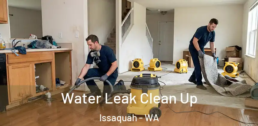 Water Leak Clean Up Issaquah - WA