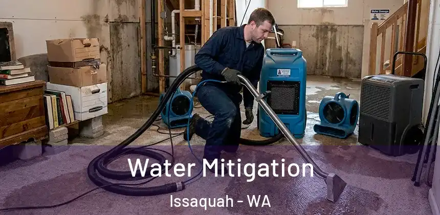  Water Mitigation Issaquah - WA