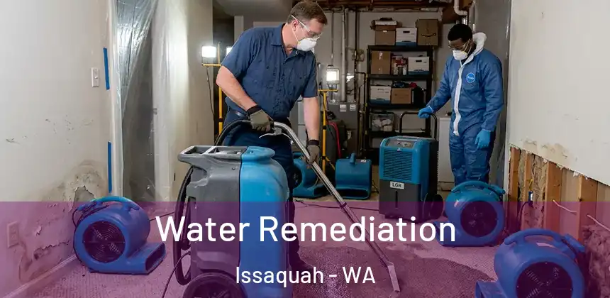 Water Remediation Issaquah - WA