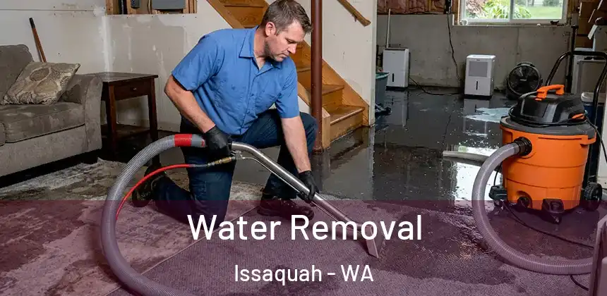 Water Removal Issaquah - WA