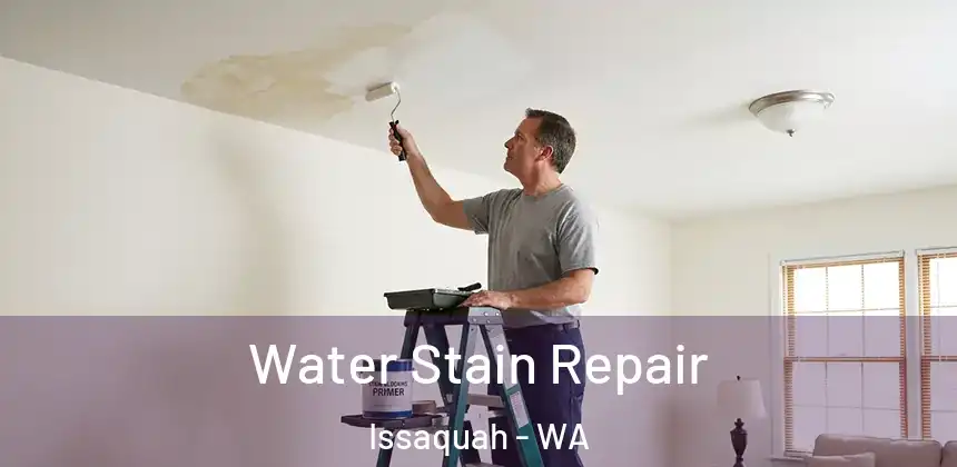  Water Stain Repair Issaquah - WA